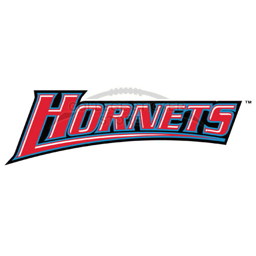 Customs Delaware State Hornets Iron-on Transfers (Wall Stickers)NO.4249